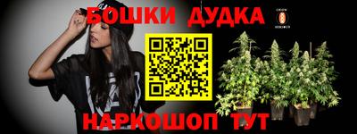 крисы Азнакаево