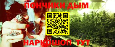 крисы Азнакаево