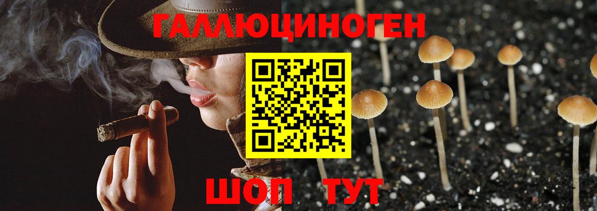 Галлюциногенные грибы ЛСД  Псилоцибиновые грибы Psilocybine cubensis  Красный Сулин  купить   Вход с VPN 